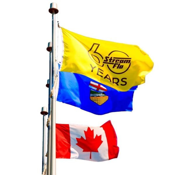 Flags Printing - Image 3